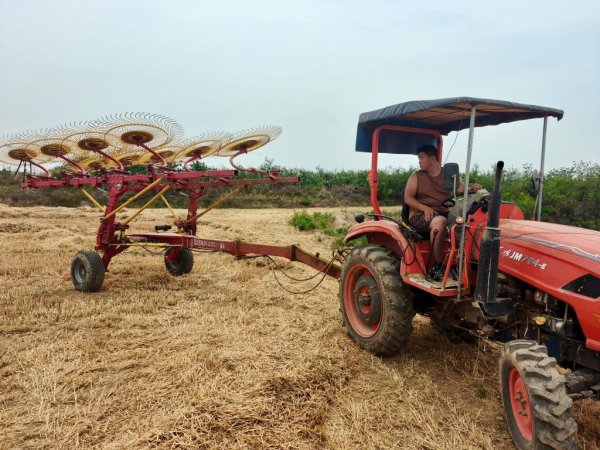 诚信双赢 田间地头也有“星辰大海”——三位“00后”新农人的夏收故事