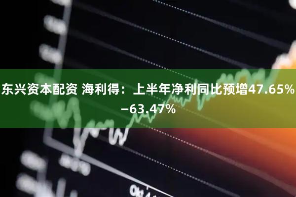 东兴资本配资 海利得：上半年净利同比预增47.65%—63.47%
