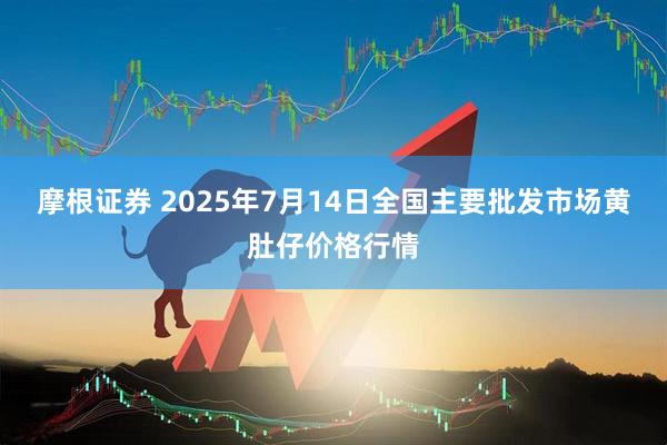 摩根证券 2025年7月14日全国主要批发市场黄肚仔价格行情