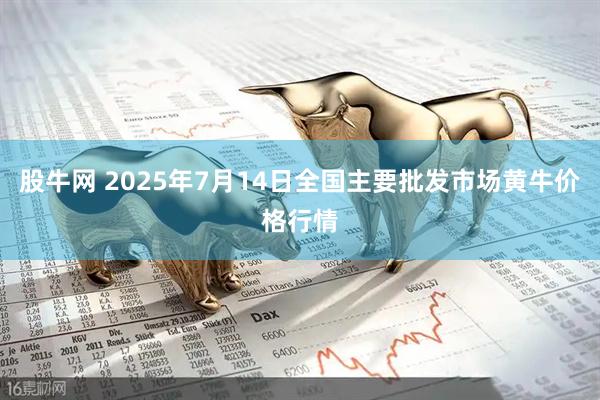 股牛网 2025年7月14日全国主要批发市场黄牛价格行情