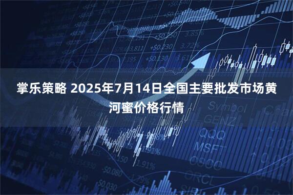 掌乐策略 2025年7月14日全国主要批发市场黄河蜜价格行情